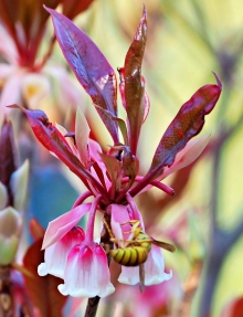 Thumbnail of pic_Lee_Shing_029.JPG