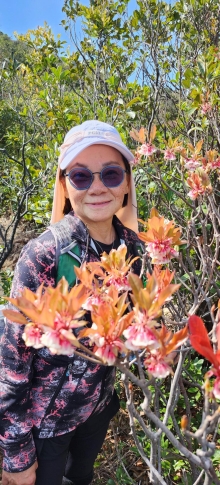 Thumbnail of pic_Si9_033.jpg