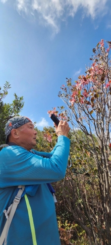 Thumbnail of pic_Si9_035.jpg