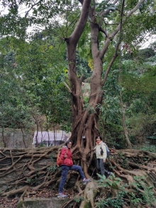 Thumbnail of P2010006.jpg