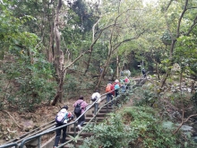 Thumbnail of P2010007.jpg