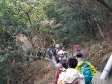 Thumbnail of P2010013.jpg