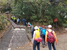 Thumbnail of P2010037.jpg