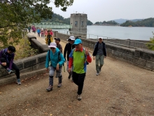 Thumbnail of P2010038.jpg