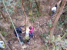 Thumbnail of P2010049.jpg