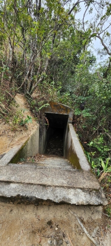 Thumbnail of pic_Si9_018.jpg