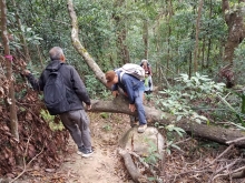 Thumbnail of P2080007.jpg