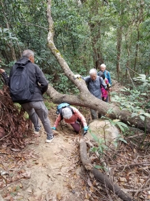 Thumbnail of P2080009.jpg