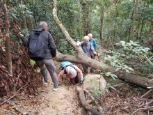 Thumbnail of P2080010.jpg