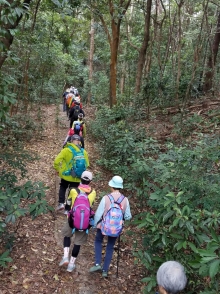 Thumbnail of P2080026.jpg