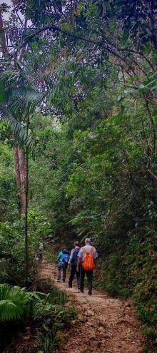 Thumbnail of pic_Cindy_Tse_027.jpg