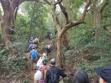 P2150006.jpg (649452 bytes)