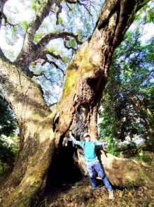 Thumbnail of pic_Anissa_Yip_007.jpg