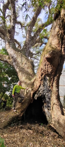 Thumbnail of pic_Derek_Wong_006.jpg