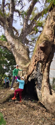 Thumbnail of pic_Derek_Wong_011.jpg