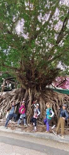 Thumbnail of pic_Derek_Wong_122.jpg