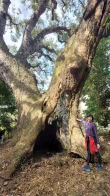 Thumbnail of pic_Esther_Chuk_004.jpg