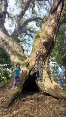 Thumbnail of pic_Esther_Chuk_007.jpg