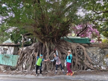 Thumbnail of pic_WaiG_007.jpg