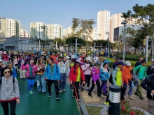 Thumbnail of P2190033.jpg