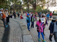 Thumbnail of P2190048.jpg