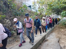 Thumbnail of P2190058.jpg