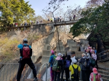 Thumbnail of P2190069.jpg