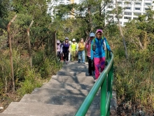 Thumbnail of P2190103.jpg