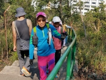 Thumbnail of P2190104.jpg