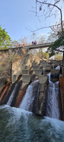 Thumbnail of pic_CW_Ho_009.jpg