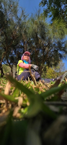 Thumbnail of pic_CW_Ho_041.jpg