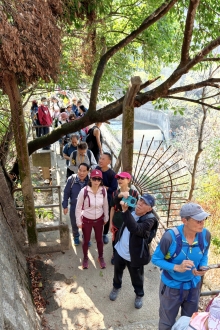 Thumbnail of pic_KL_Sin_034.jpg