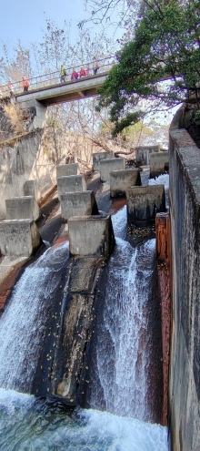 Thumbnail of pic_Wong_023.jpg