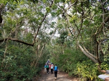 Thumbnail of P222001.jpg