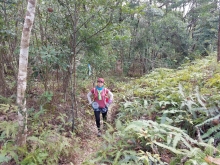 Thumbnail of P222018.jpg