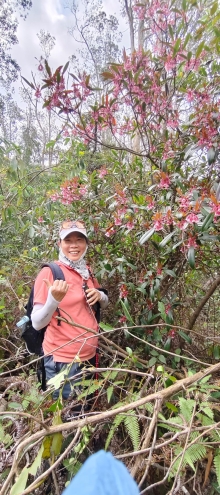 Thumbnail of pic_Derek_Wong_007.jpg