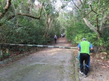 Thumbnail of pic_Sun_Chow_006.JPG