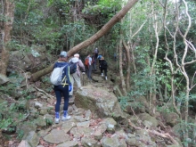 Thumbnail of pic_Sun_Chow_016.JPG