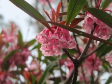 Thumbnail of pic_Sun_Chow_023.JPG