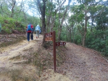 Thumbnail of pic_Sun_Chow_046.JPG