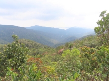 Thumbnail of pic_Sun_Chow_053.JPG