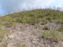 Thumbnail of pic_Sun_Chow_059.JPG