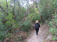 Thumbnail of pic_Sun_Chow_069.JPG