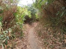 Thumbnail of pic_Sun_Chow_084.JPG