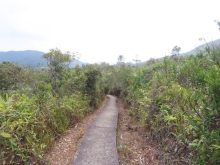 Thumbnail of pic_Sun_Chow_085.JPG