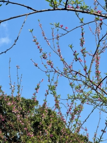 Thumbnail of pic_Winnie_Chung_007.JPG