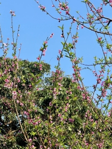 Thumbnail of pic_Winnie_Chung_008.JPG