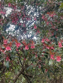 Thumbnail of pic_Winnie_Chung_015.JPG