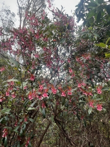 Thumbnail of pic_Winnie_Chung_017.JPG