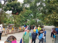 Thumbnail of P3010006.jpg